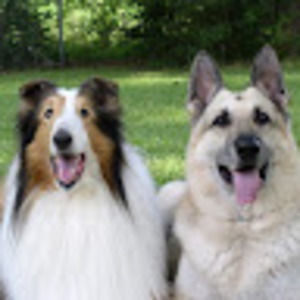 Meet your Posher, Robin